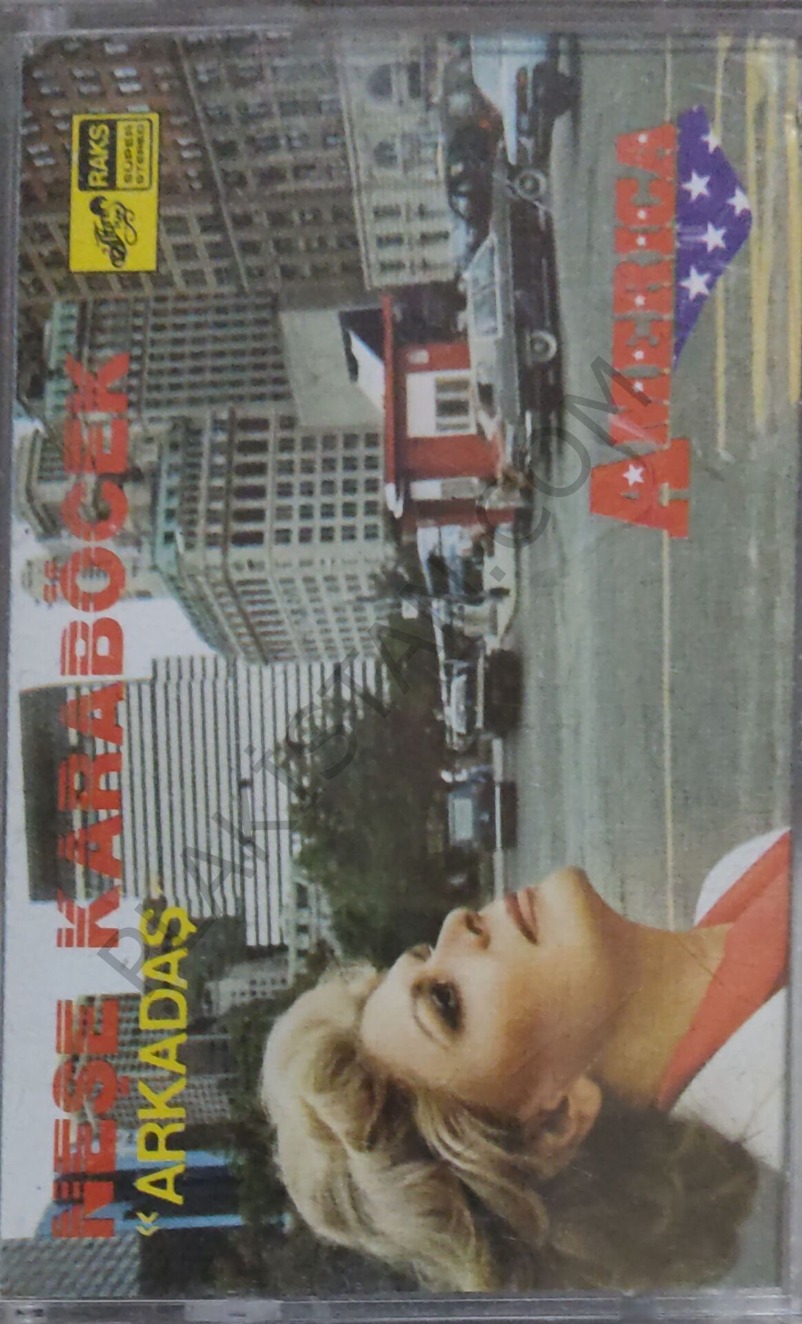 Neşe Karaböcek - AMERİKA - Arkadaş KASET