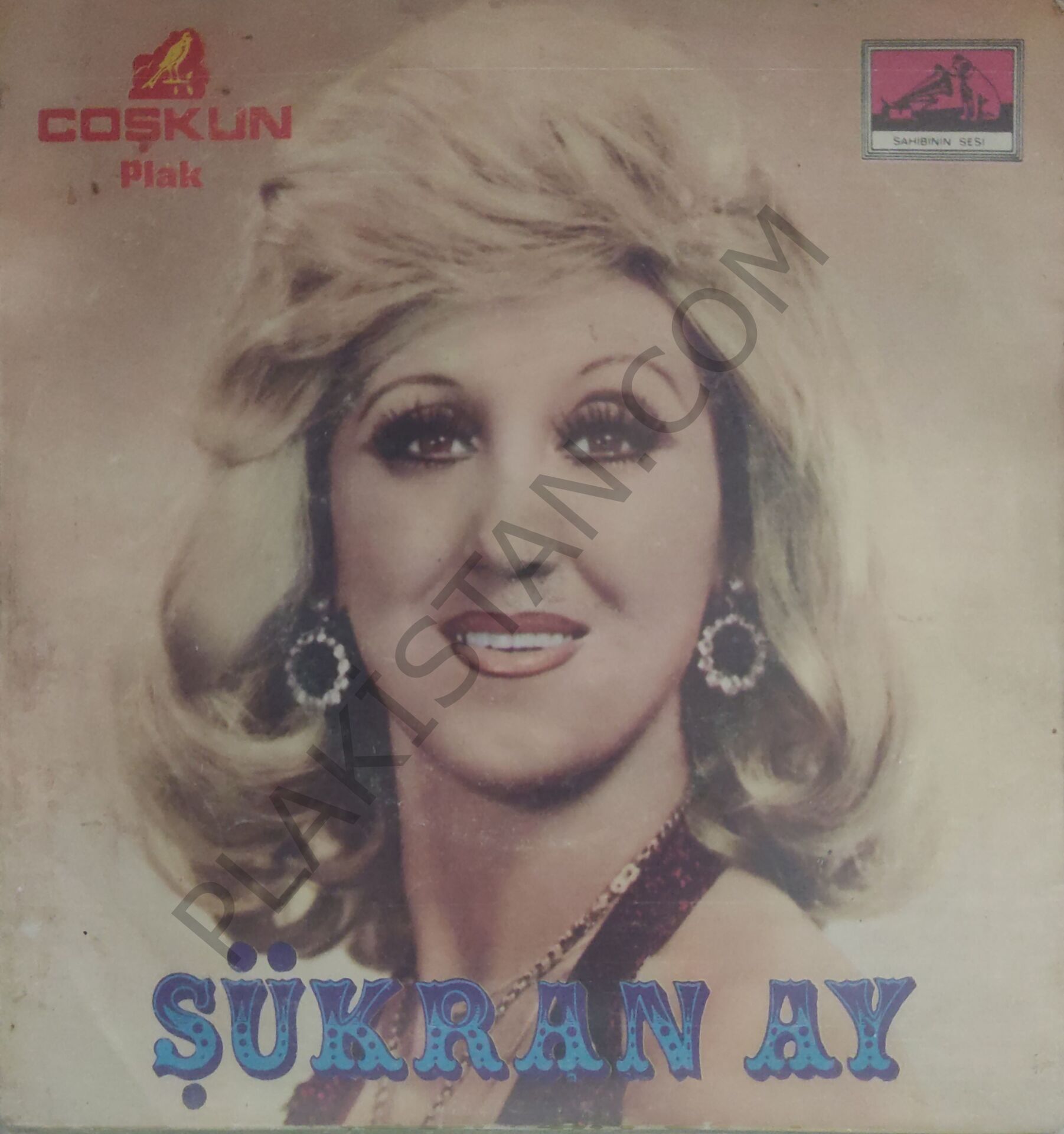 Şükran Ay Zalimin Zulmü 45lik
