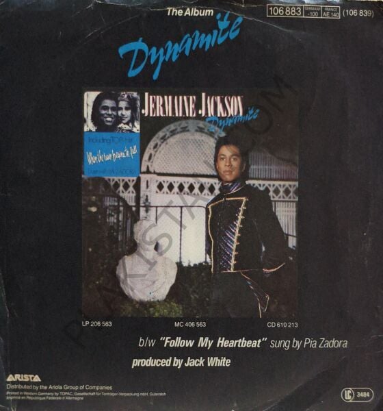 Jermaine Jackson & Pia Zadora – When The Rain Begins To Fall 45 LİK PLAK