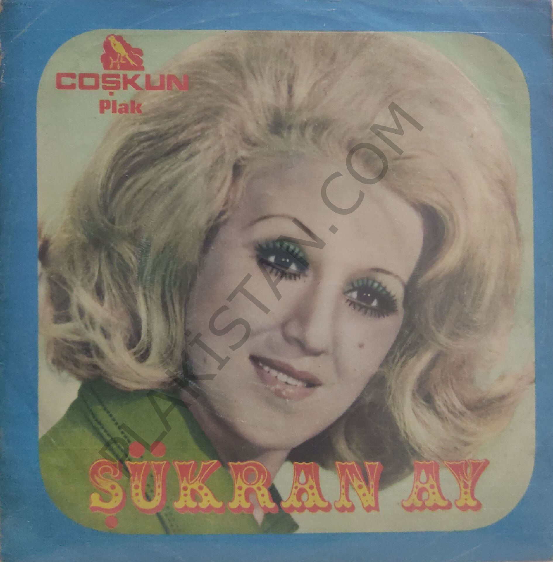 Şükran Ay Çek elini ellerimden  45lik