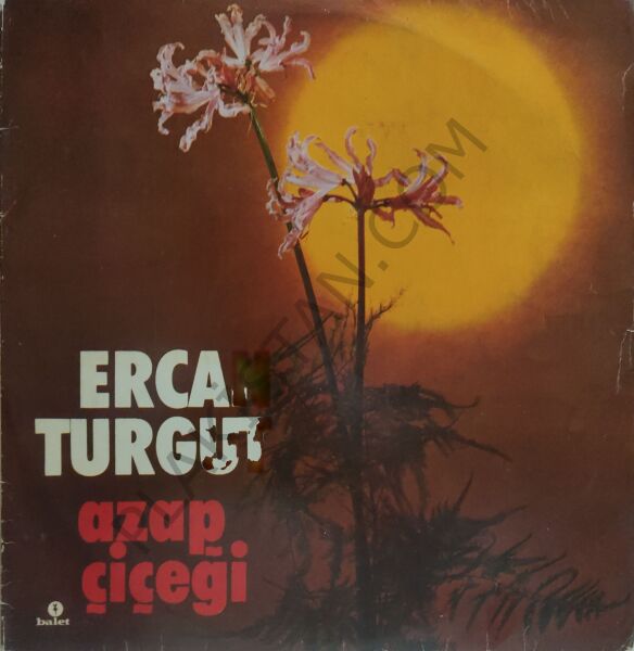 Ercan Turgut - Azap Çiçeği İkili plak  LP