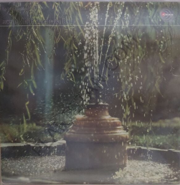 Acemkürdi Suzinak Faslı Şef & Kemal Gürses LP PLAK