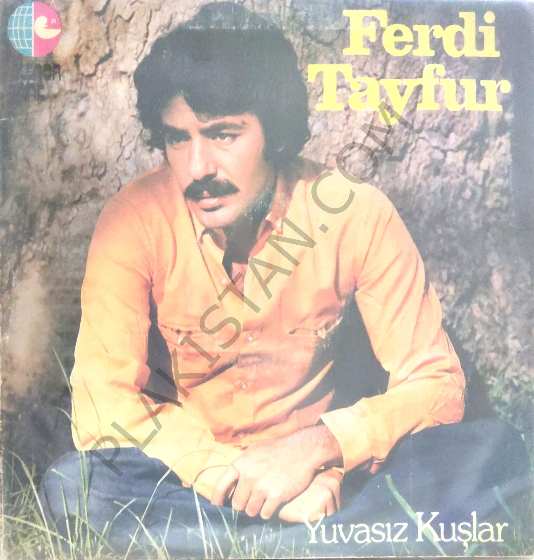 Ferdi Tayfur - Yuvasız Kuşlar LP
