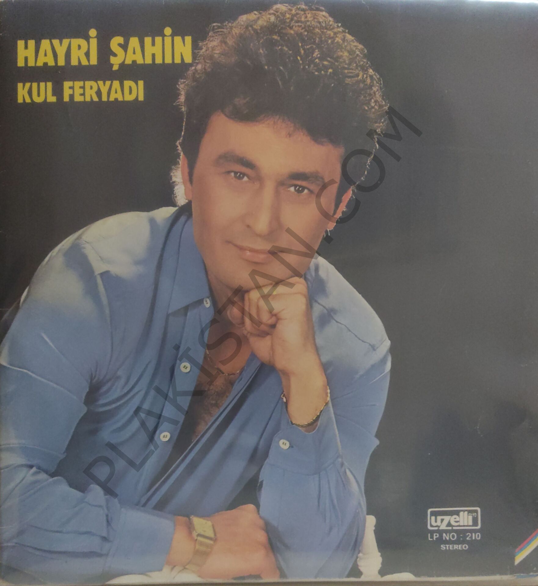 Hayri Şahin Kul Feryadı LP