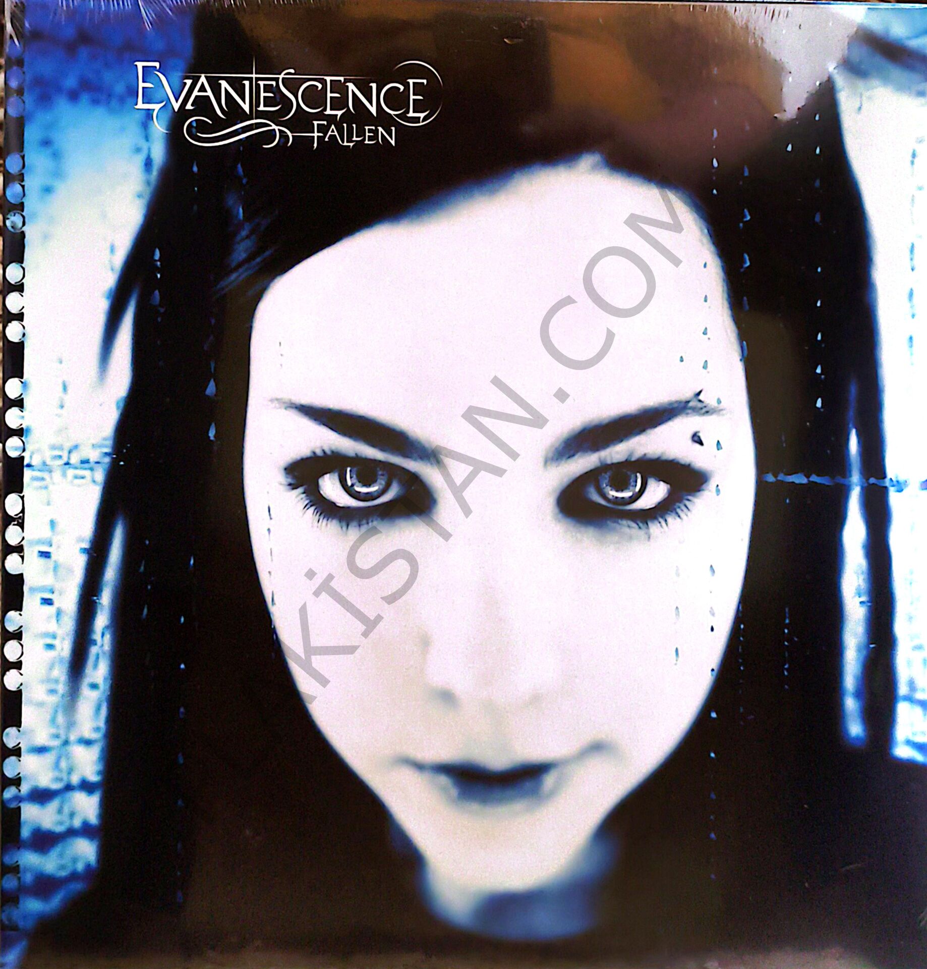 Evanescence – Fallen PLAK