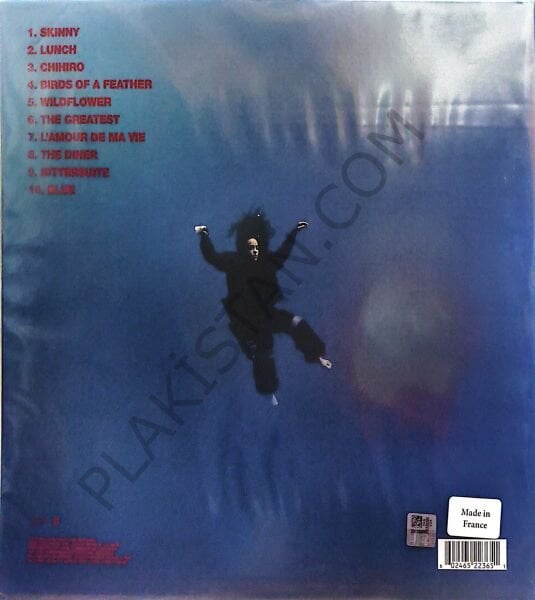 Billie Eilish – Hit Me Hard And Soft / Plak ( Black ) LP PLAK