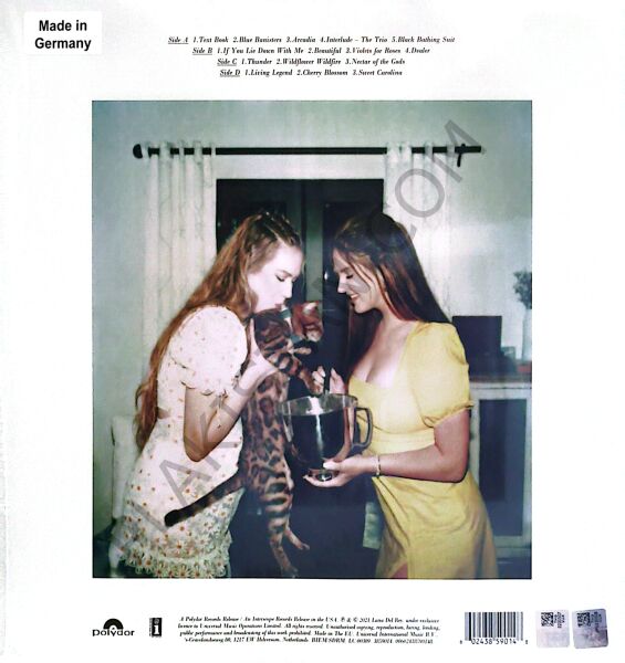 Lana Del Rey Blue Banisters LP PLAK