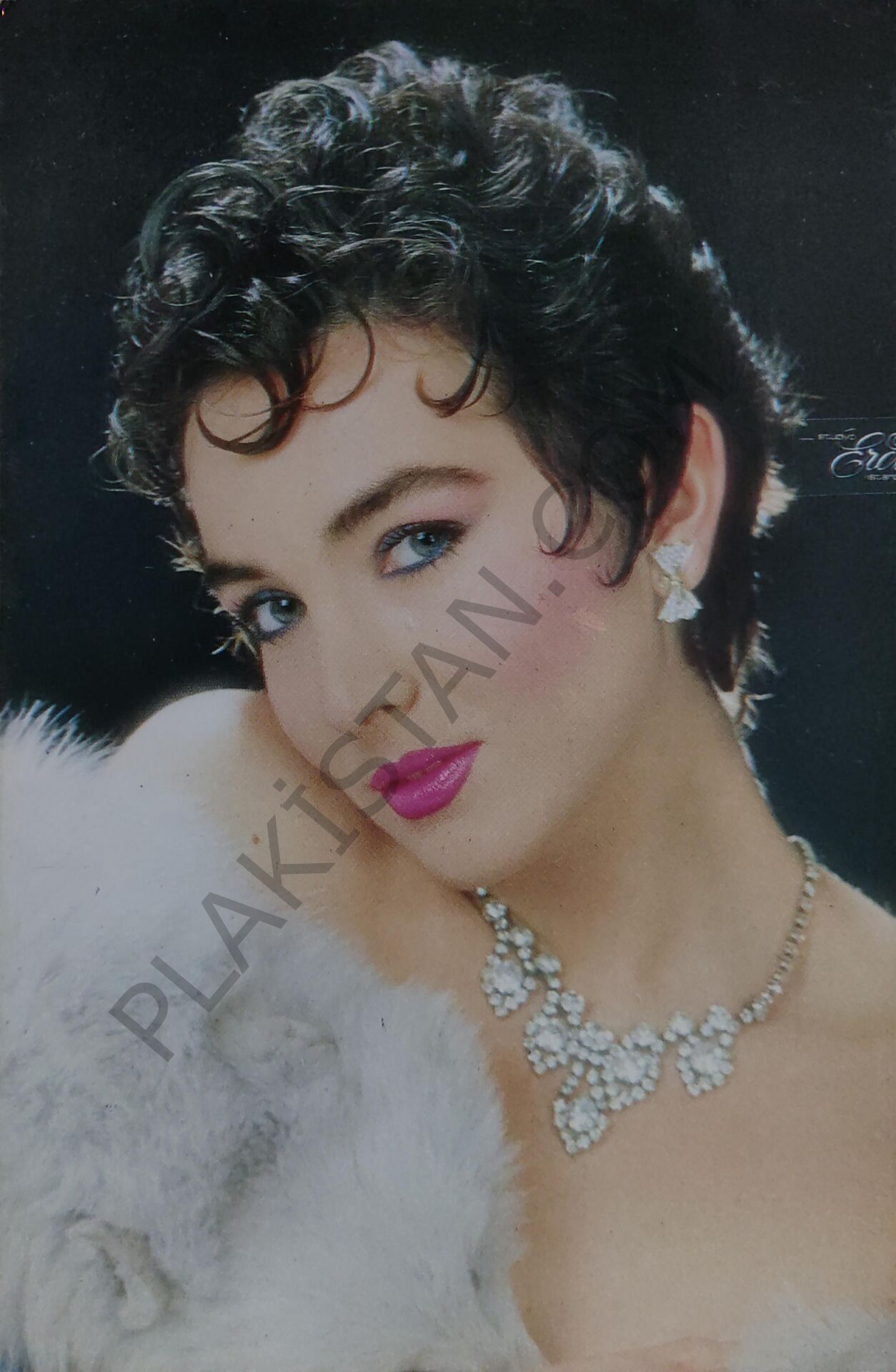 Dönem Kartpostal - Meltem DOĞANAY