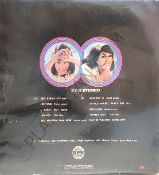 Ayten Alpman - Memleketim LP PLAK