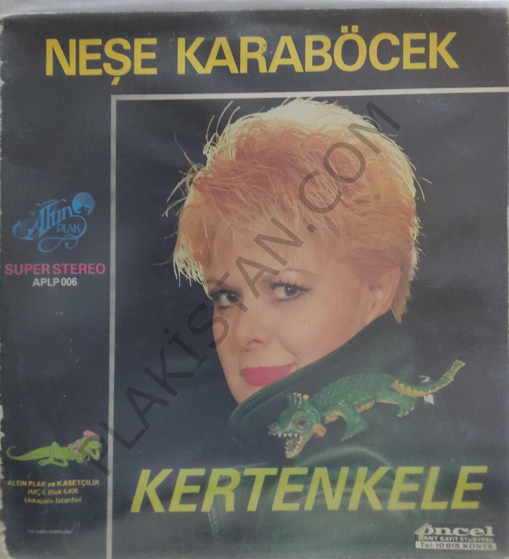 Neşe Karaböcek Kertenkele LP