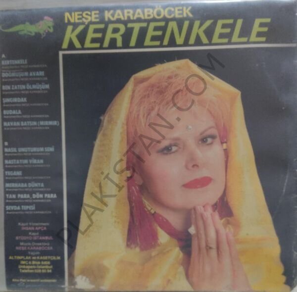 Neşe Karaböcek Kertenkele LP
