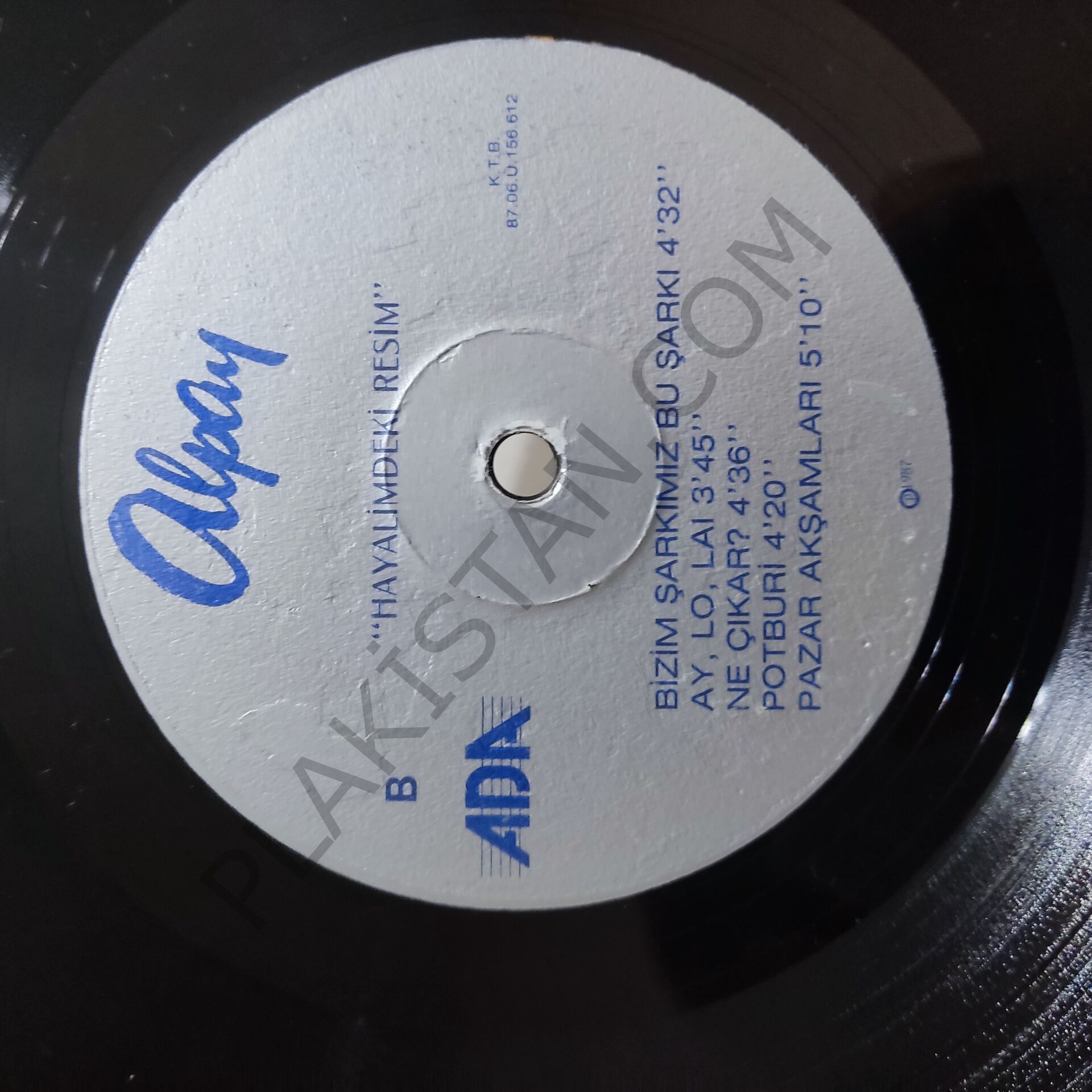 Alpay Hayalimdeki Resim LP PLAK