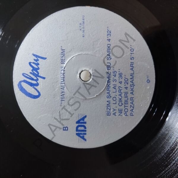 Alpay Hayalimdeki Resim LP PLAK