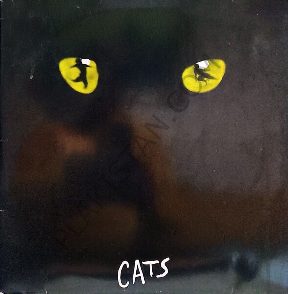 Cats Müzikali 2 LP PLAK