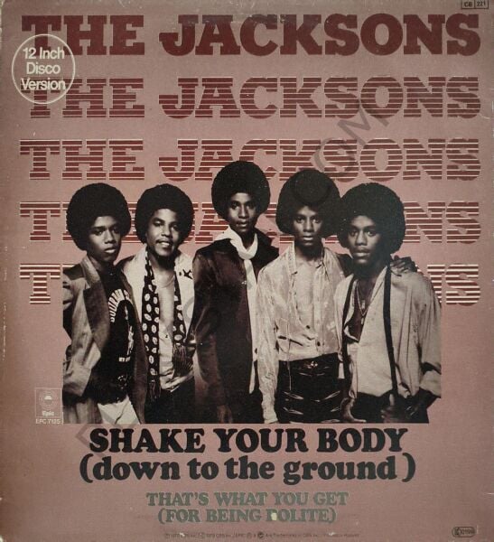 The Jacksons – Shake Your Body (Down To The Ground) LP PLAK
