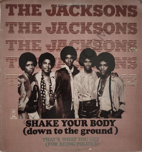 The Jacksons – Shake Your Body (Down To The Ground) LP PLAK