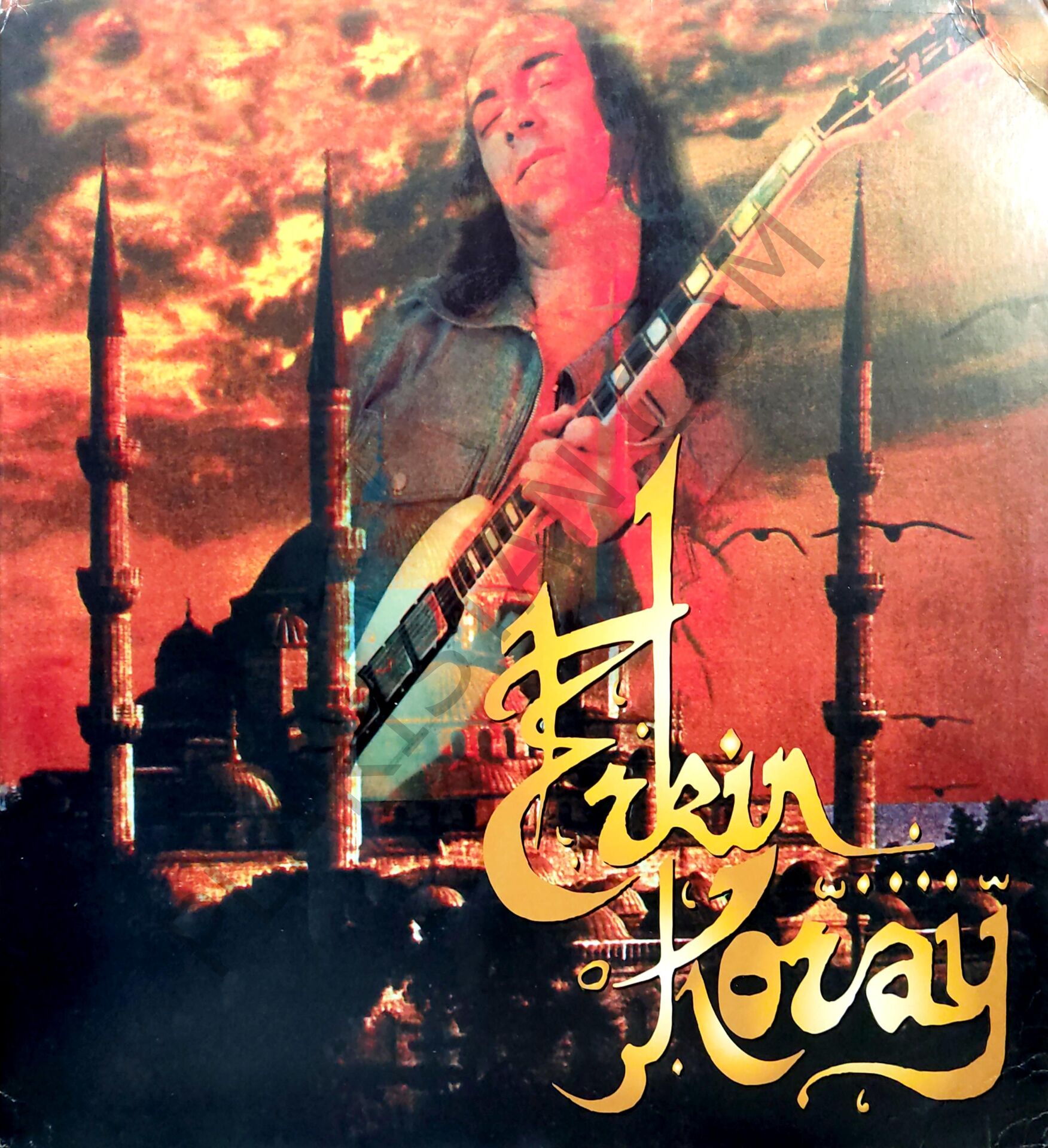 Erkin Koray Çift longplay ( 450 adet numaralı baskı ) LP PLAK