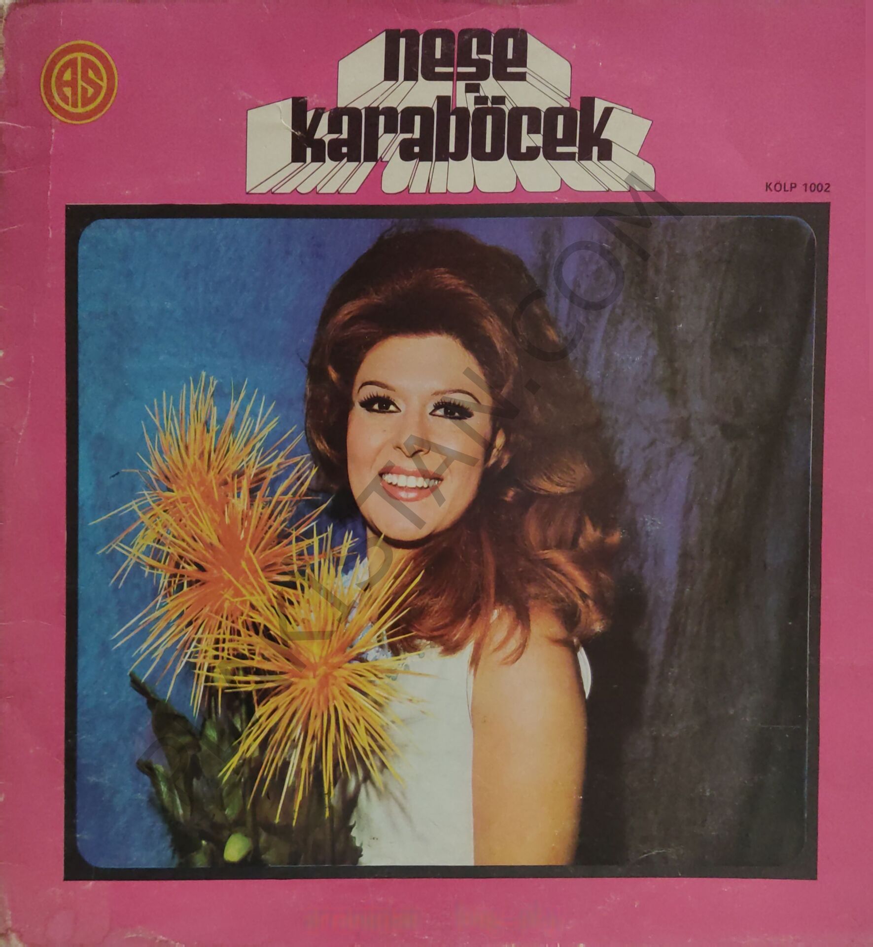 Neşe Karaböcek Aranjman LP