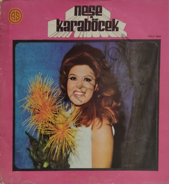 Neşe Karaböcek Aranjman LP