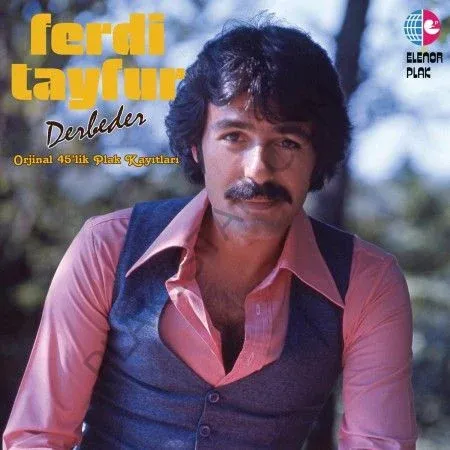 Ferdi Tayfur Derbeder LP Plak