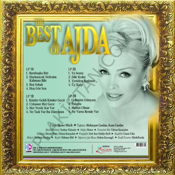 Ajda Pekkan The Best of Ajda Pekkan 2 Renkli LP PLAK