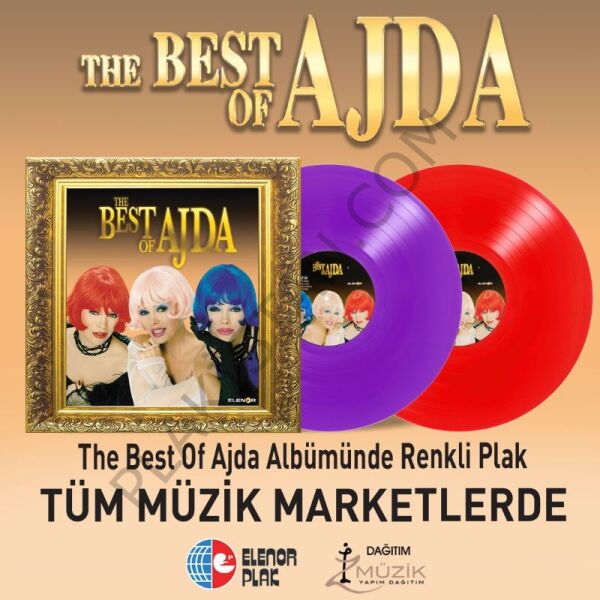 Ajda Pekkan The Best of Ajda Pekkan 2 Renkli LP PLAK