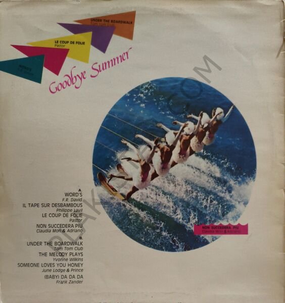 Good bye Summer LP PLAK