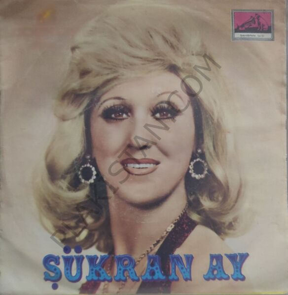 Şükran Ay Kanbur Felek 45lik