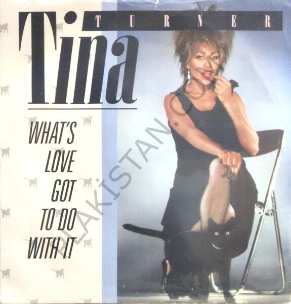 Tina Turner What's love got to do wıth ıt 45 lik
