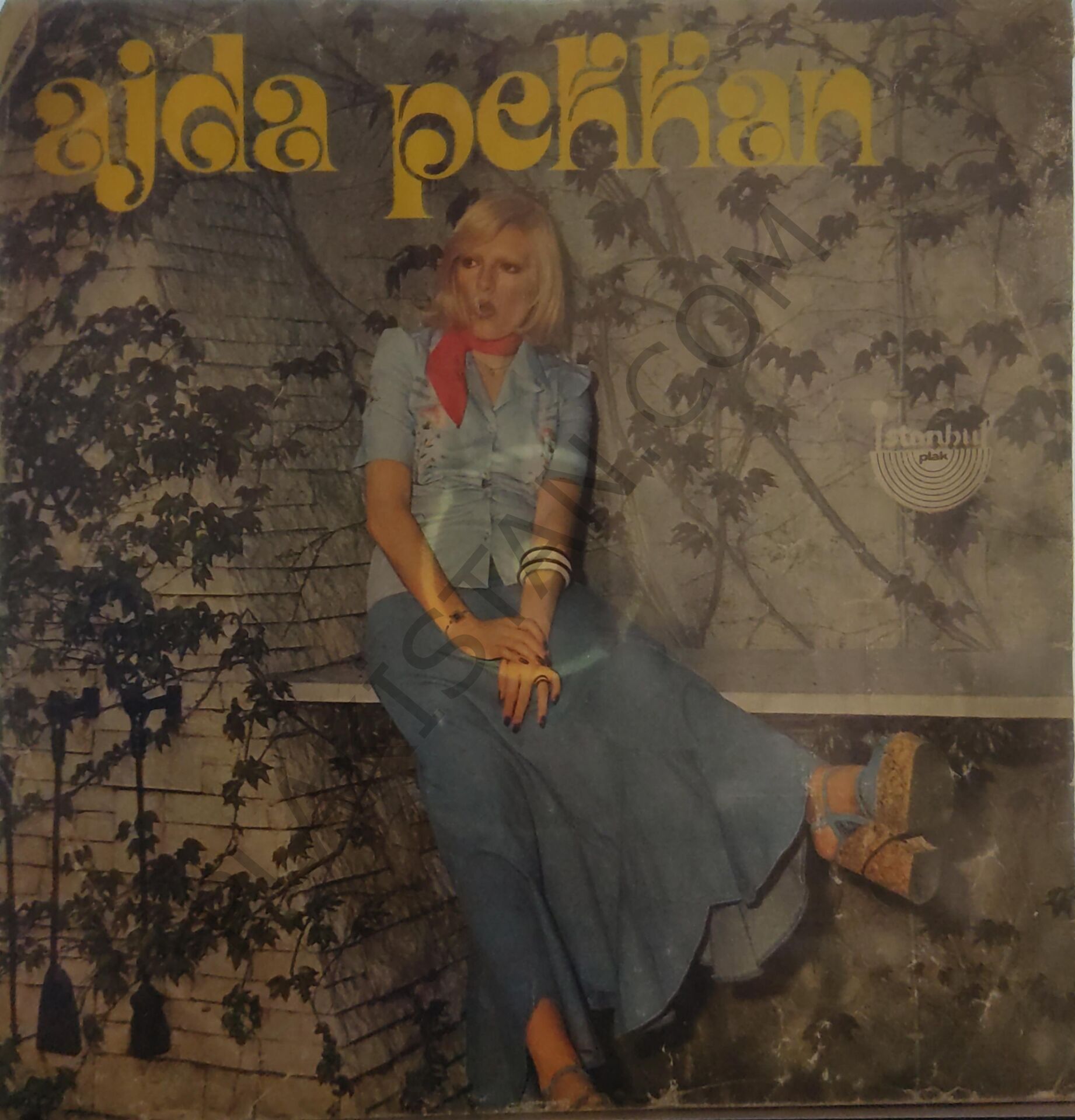 Ajda Pekkan - Sana Neler Edeceğim 45 LİK PLAK