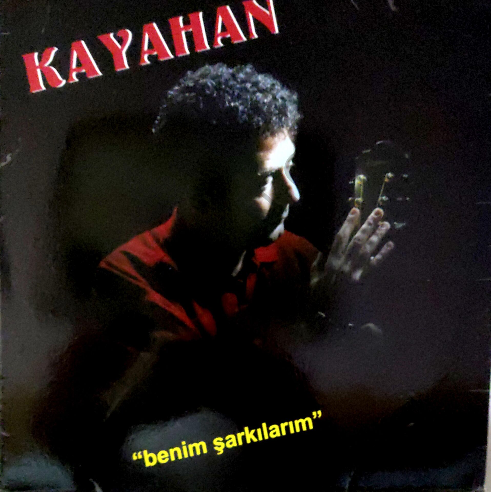 Kayahan benim şarkılarım LP
