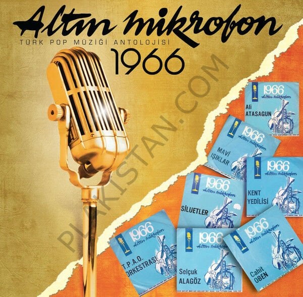 ALTIN MİKROFON 1966 2 LP PLAK