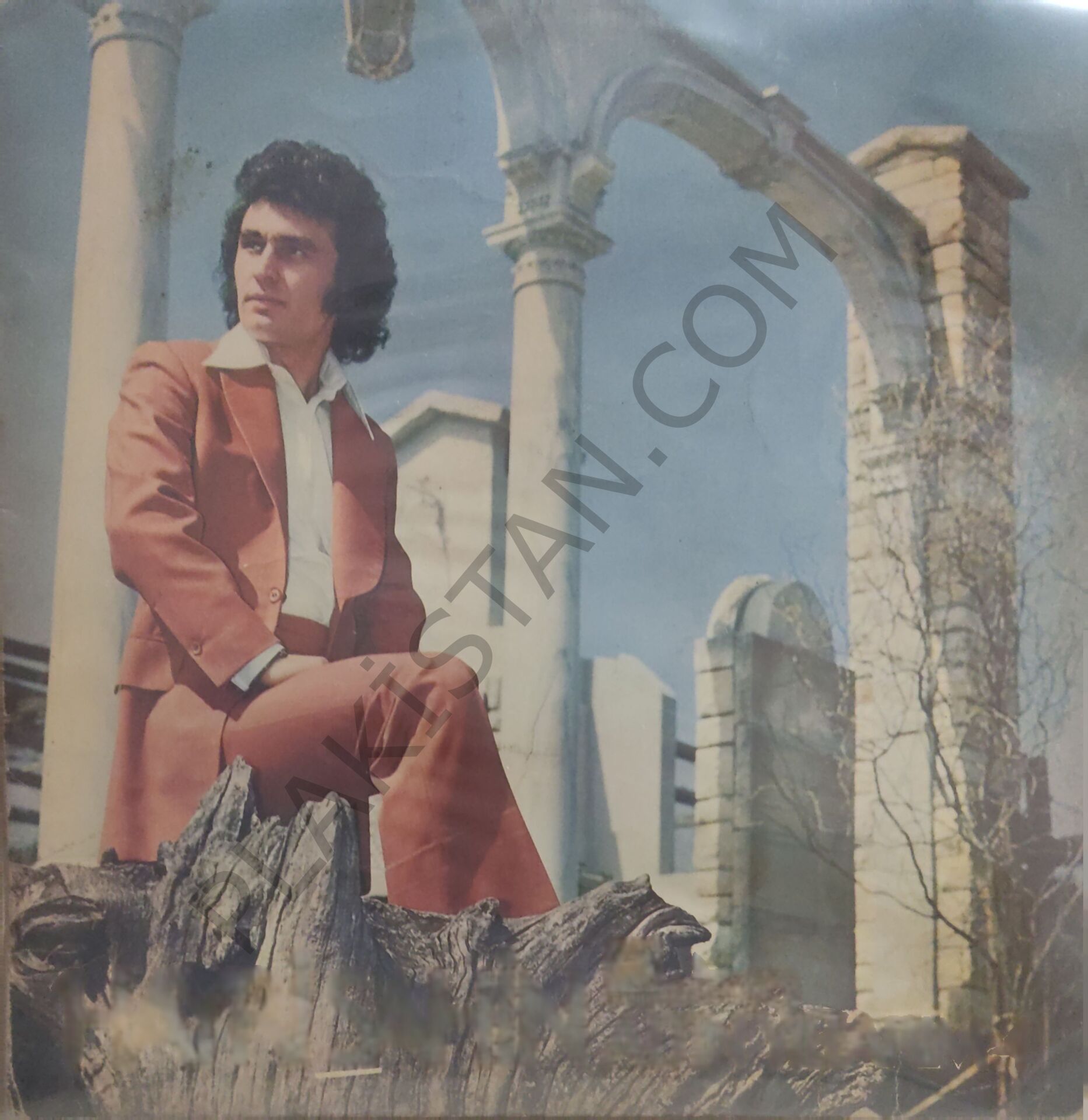 Hayri Şahin- Altın Yıllarım 1 LP