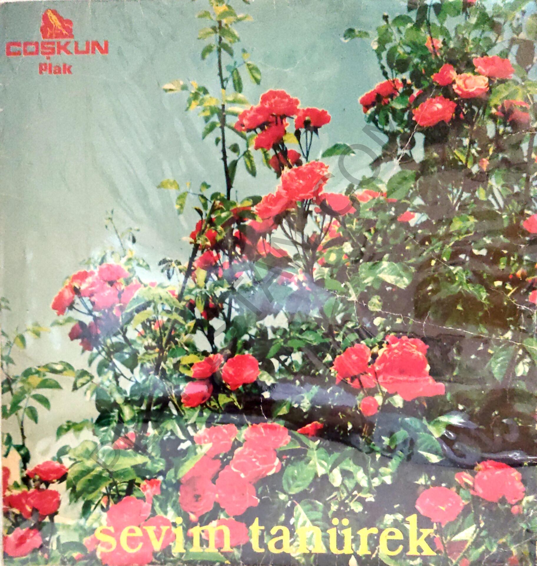 Sevim Tanürek LP