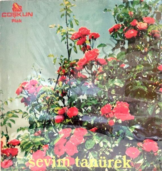 Sevim Tanürek LP
