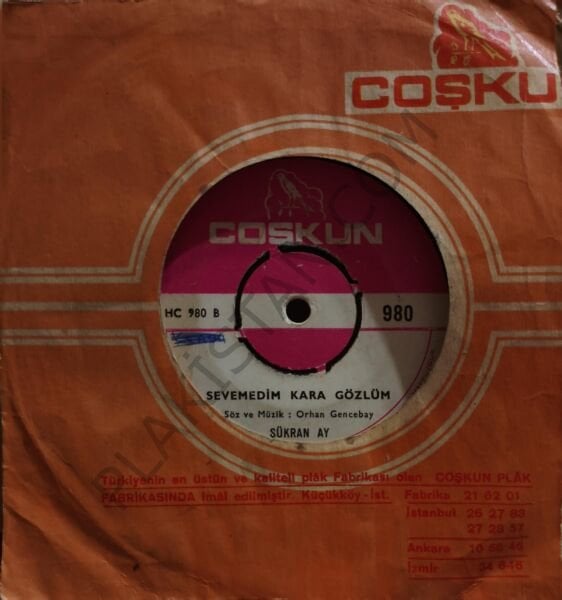 Şükran ay - Sevemedim Kara gözlüm 45 LİK PLAK