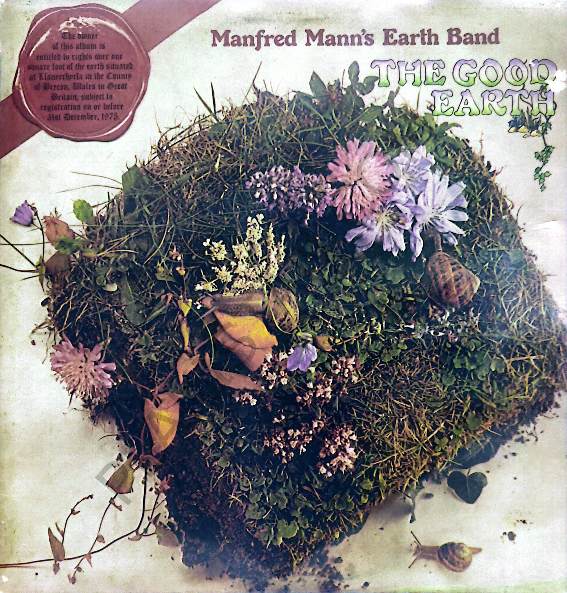 The Good Earth LP, Manfred Mann's Earth Band BS- LP PLAK