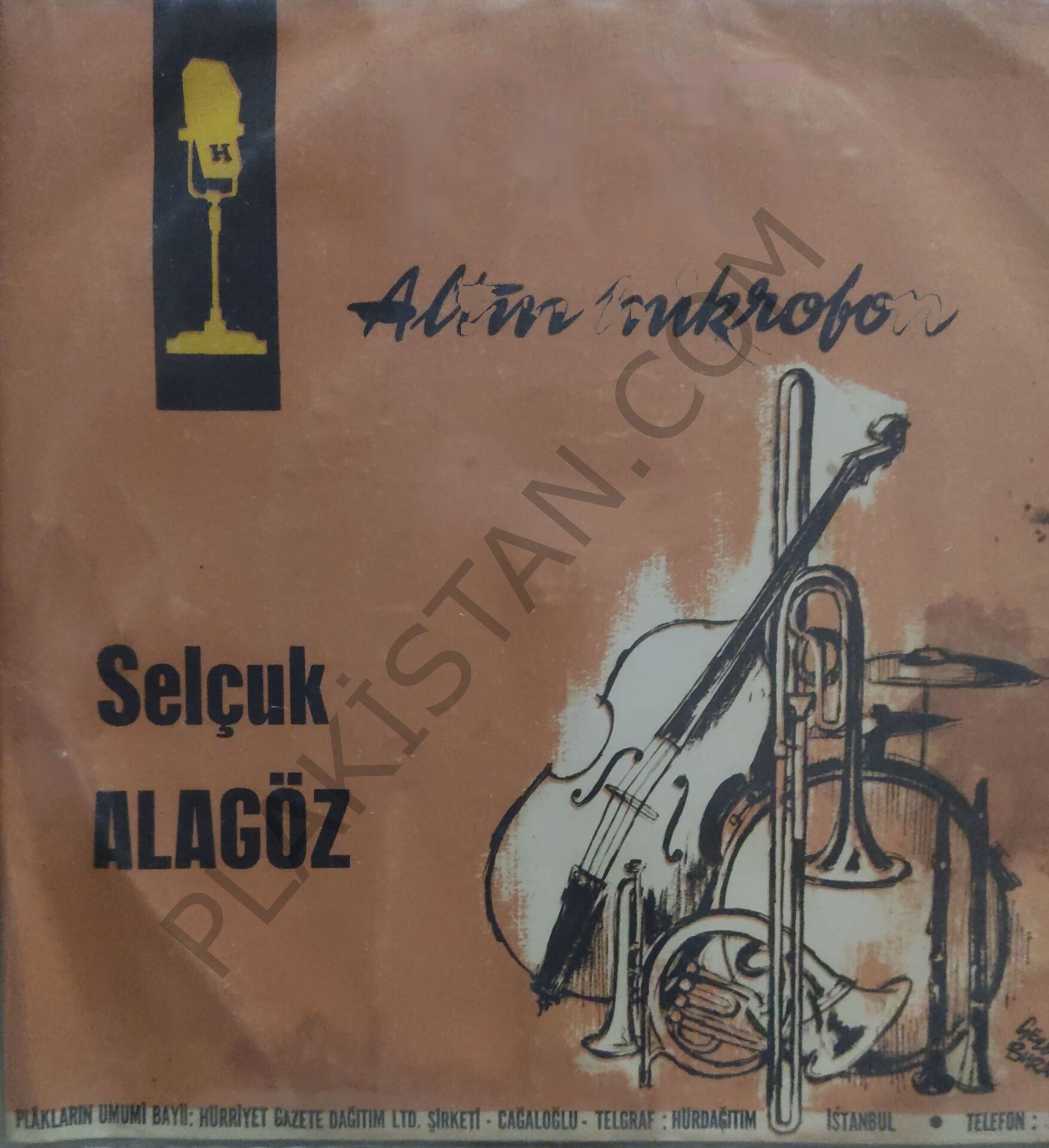 1965 Altın Mikrofon Selçuk Alagöz Kaleden İndir Beni 45 lik PLAK