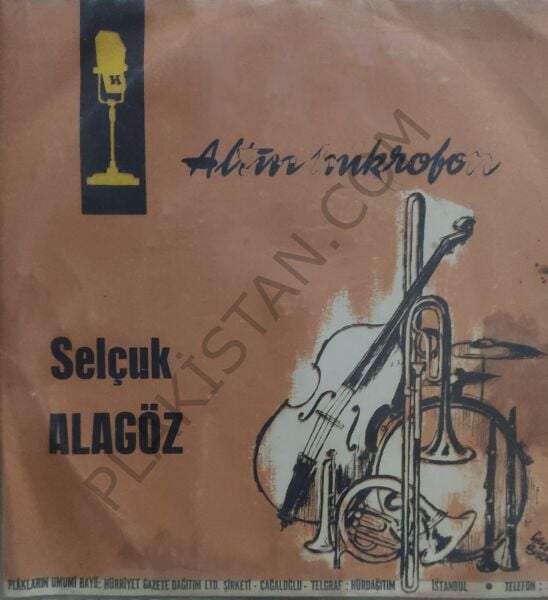 1965 Altın Mikrofon Selçuk Alagöz Kaleden İndir Beni 45 lik PLAK