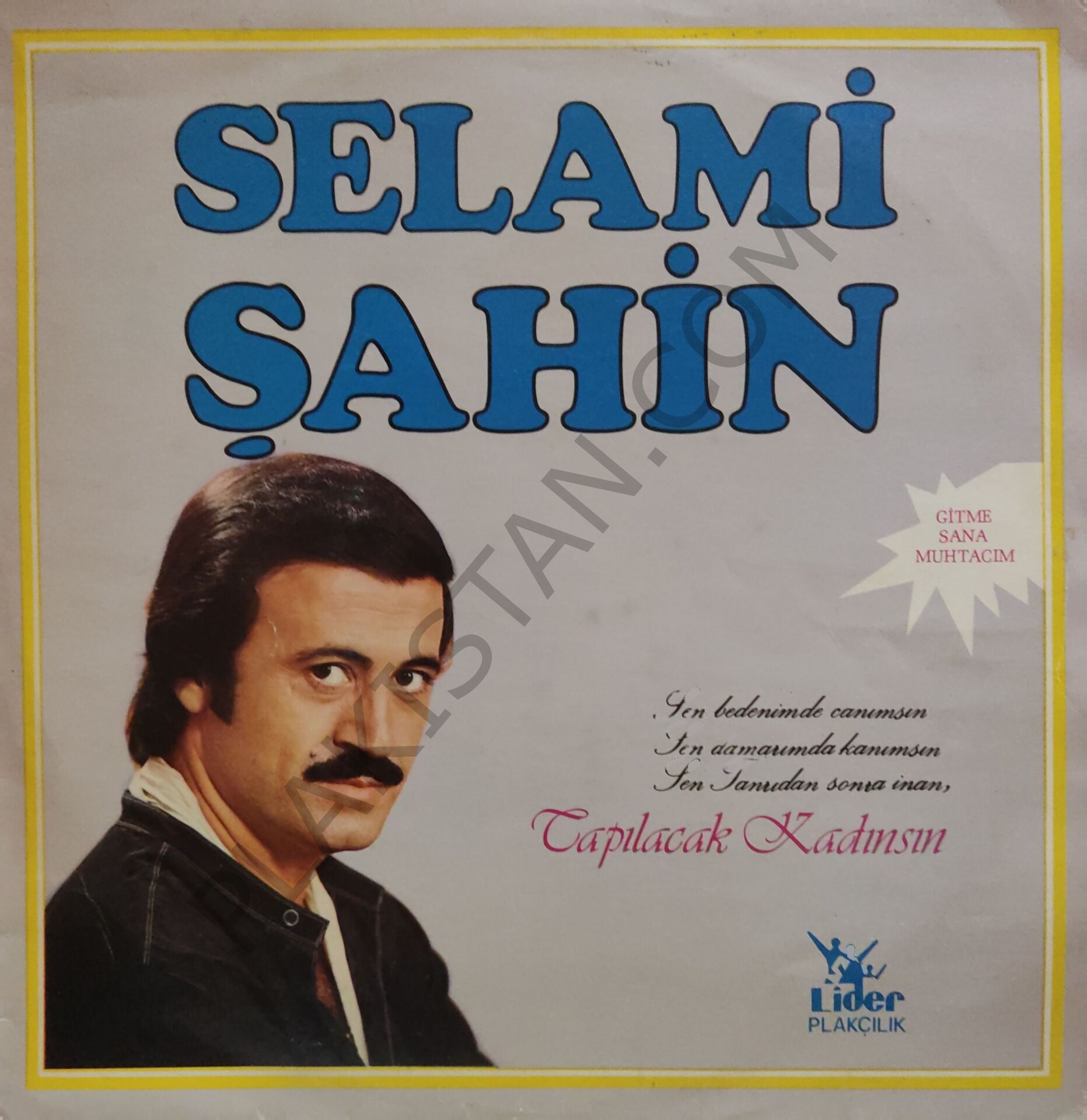Selami Şahin Tapılacak Kadınsın LP
