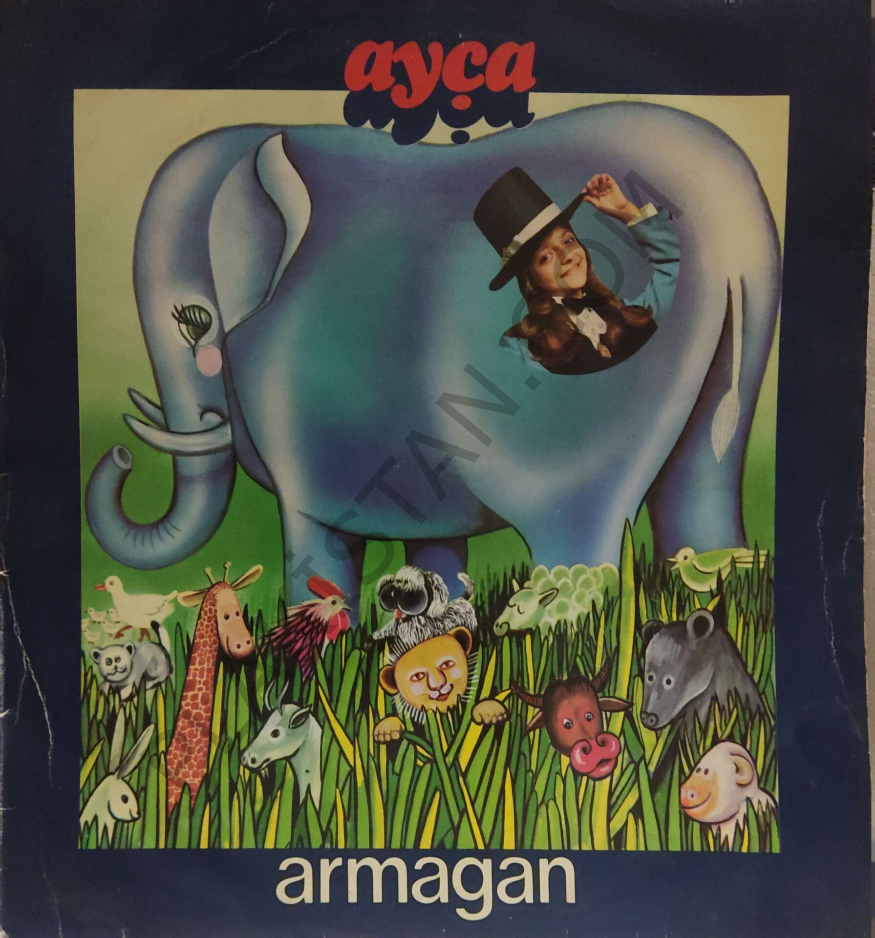 Ayça Armağan LP PLAK