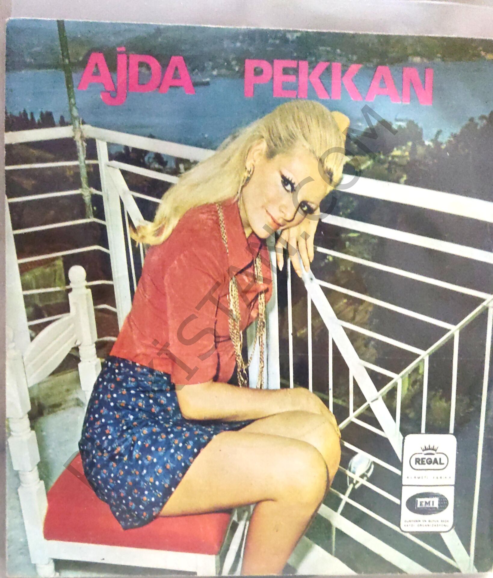 Ajda Pekkan ve Durul Gence 5'lisi Özleyiş 45 LİK PLAK