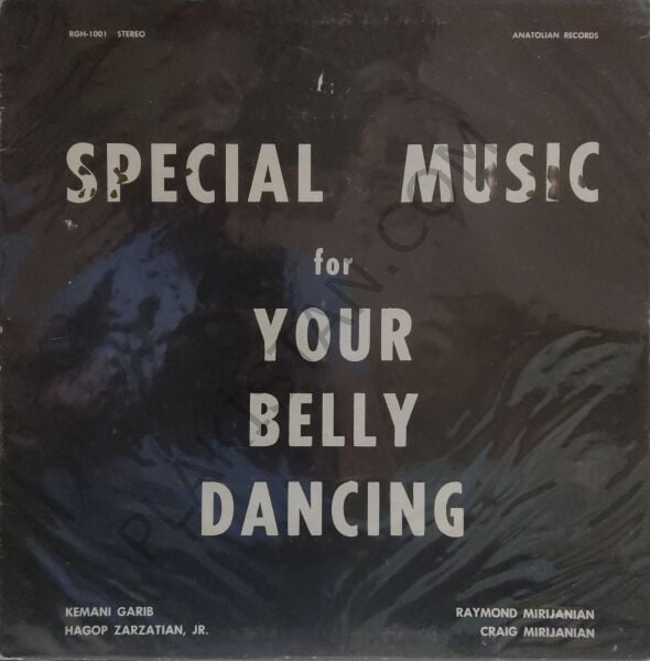 Specıal Musıc for Your Belly Dancing LP PLAK