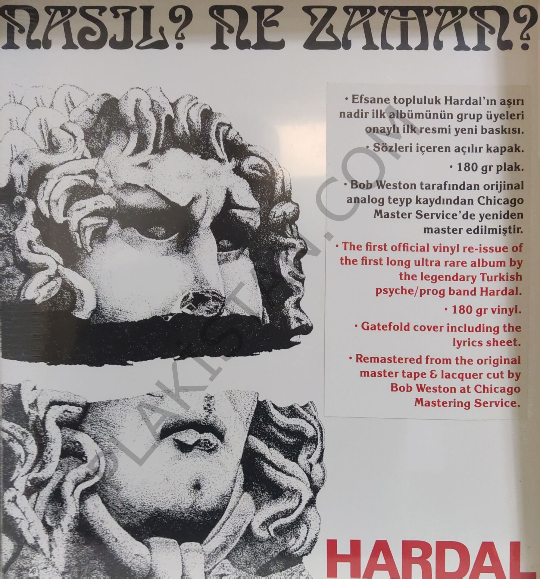 Hardal Nedir Nasıl LP PLAK