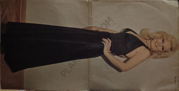 Emel Sayın -  73 LP PLAK