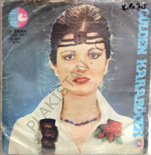 Gülden Karaböcek Kır Çiçekleri 45 lik