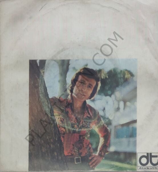 Erol Evgin Tanrım Bu Hasret Bitse 45 LİK PLAK