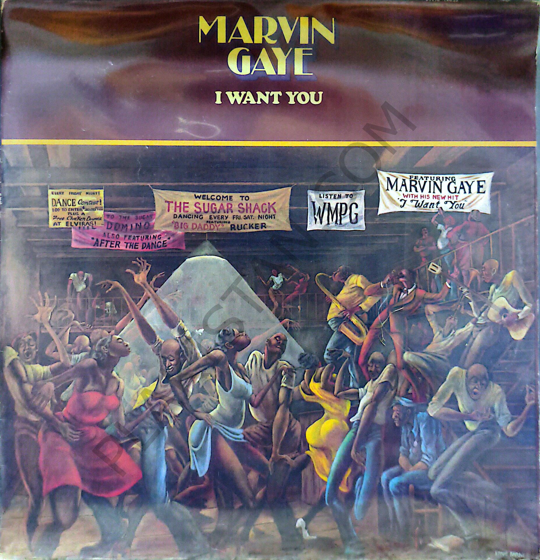 Marvın Gaye - İ Want You LP PLAK