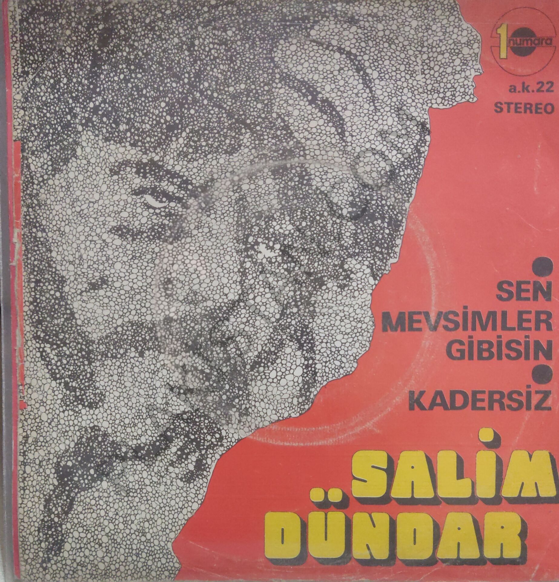 Salim Dündar Sen Mevsimler Gibisin 45lik