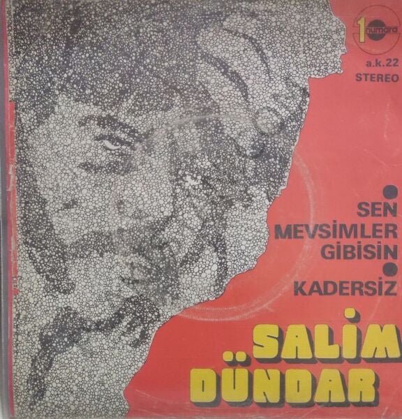 Salim Dündar Sen Mevsimler Gibisin 45lik